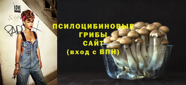 ПСИЛОЦИБИНОВЫЕ ГРИБЫ Горно-Алтайск