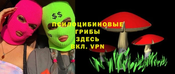 эйфоретик Горняк