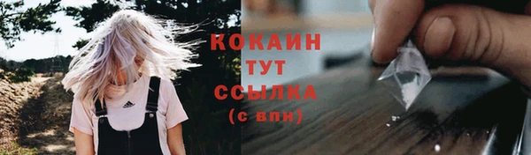 Альфа ПВП Вязьма