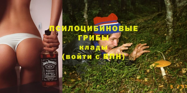 эйфоретик Горняк
