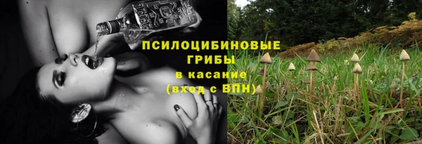 Альфа ПВП Вязьма