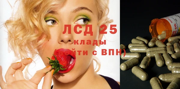 эйфоретик Горняк