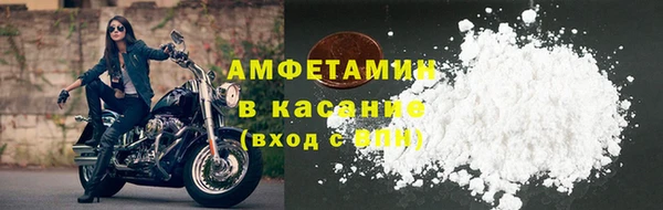 ПСИЛОЦИБИНОВЫЕ ГРИБЫ Горно-Алтайск